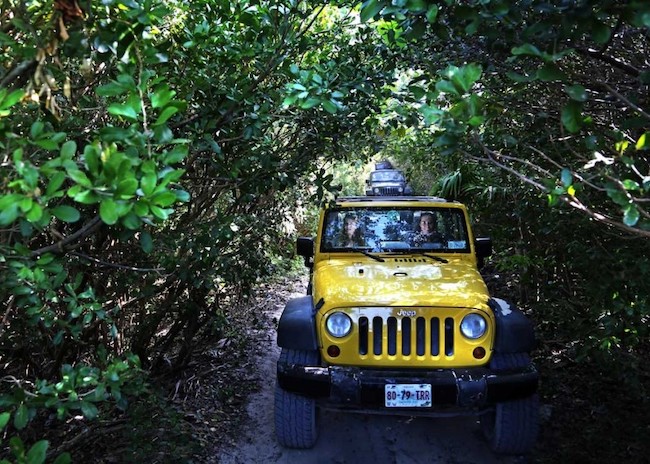 Rated #1 Cozumel Jeep and Tequila Tour Provider in 2023